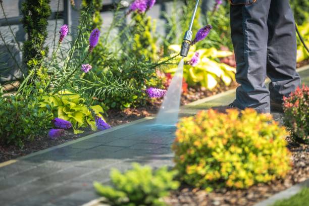 Trusted North Bethesda, MD Pressure Washing Services Experts